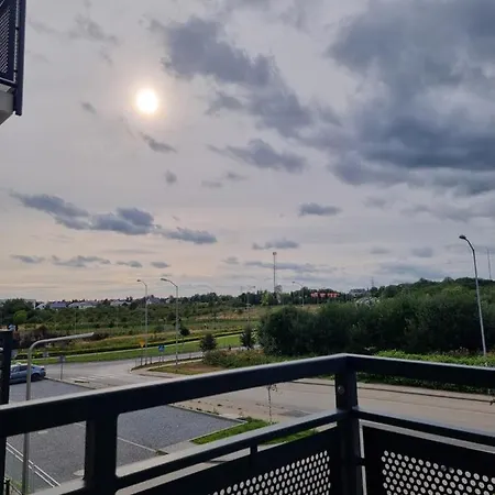 In - Swiergotki *